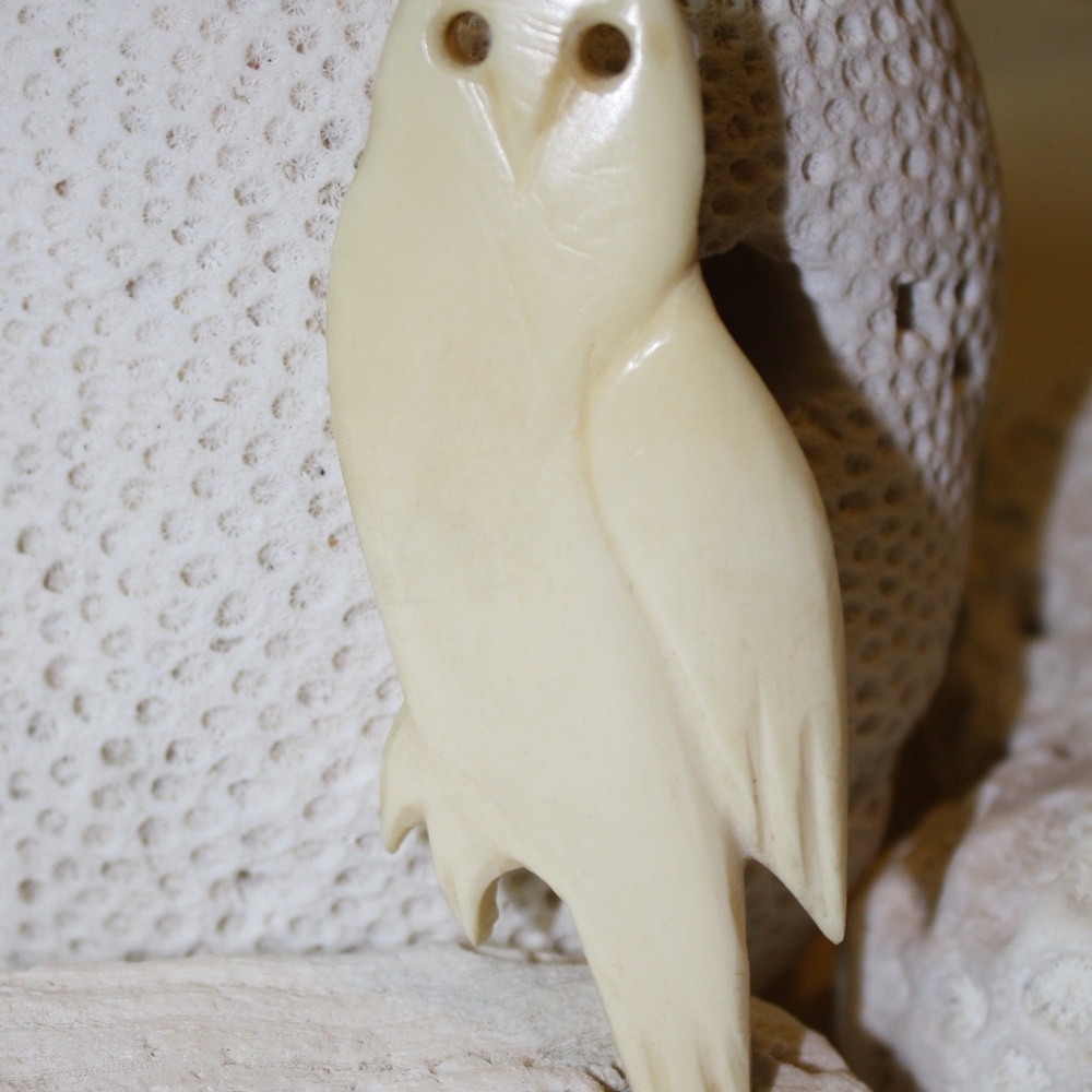 Bone Owl Pin - Picture 5 of 7